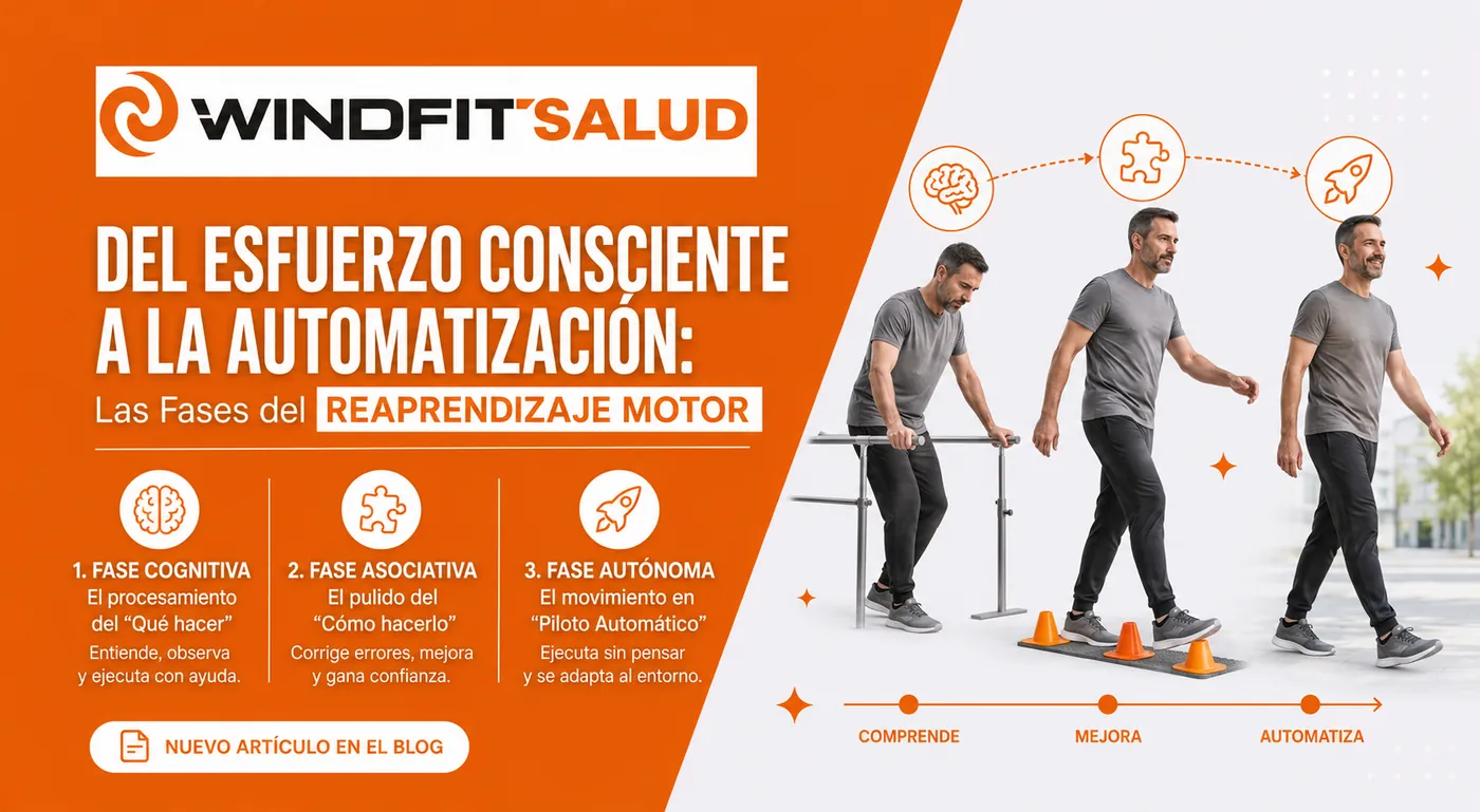 Fases del aprendizaje motor según apunta la evidencia científica.